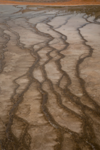 Yellowstone National Park, WY