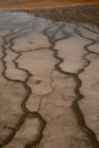 Yellowstone National Park, WY