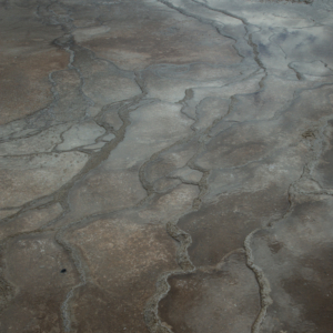 Yellowstone National Park, WY