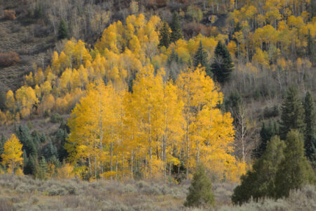 Elk Mountains, Colorado