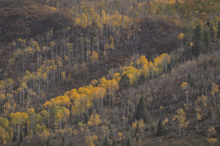 Elk Mountains, Colorado