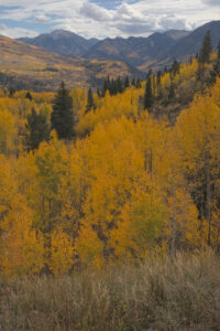Elk Mountains, Colorado