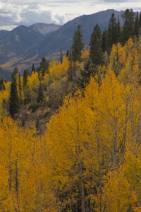 Elk Mountains, Colorado