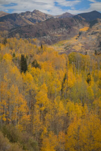 Elk Mountains, Colorado