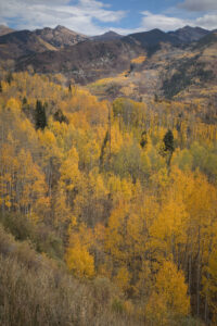 Elk Mountains, Colorado