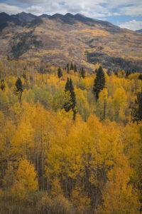 Elk Mountains, Colorado